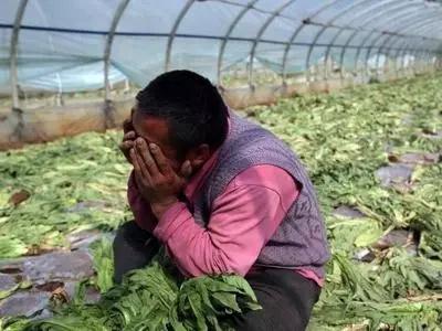 多地农产品滞销新闻引发社会关注 如何破解困局(图1) 多地农产品滞销新闻引发社会关注 如何破解困局(图1)