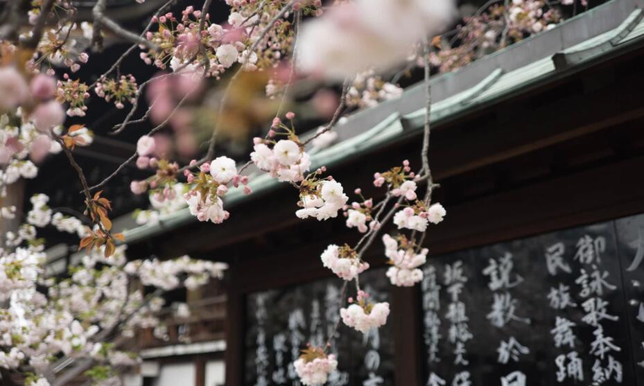 日本出台新规:限制加密货币保证金交易杠杆率(图1) 日本出台新规:限制加密货币保证金交易杠杆率(图1)